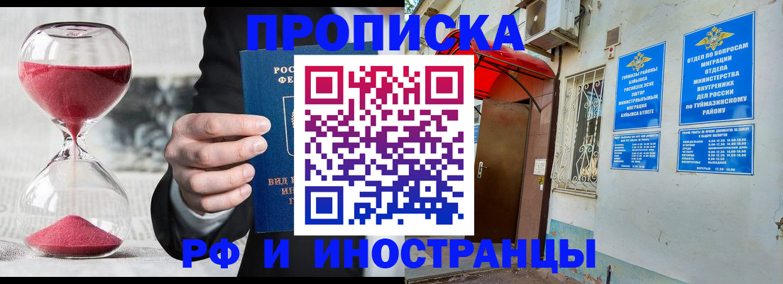 прописка 2025 в Кольчугино